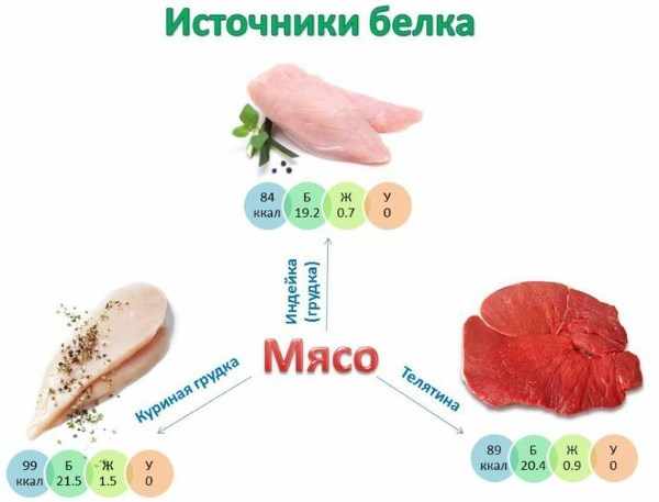 Похудение на белковых продуктах: список и таблица калорийности продуктов