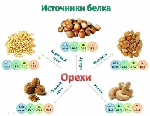 Похудение на белковых продуктах: список и таблица калорийности продуктов