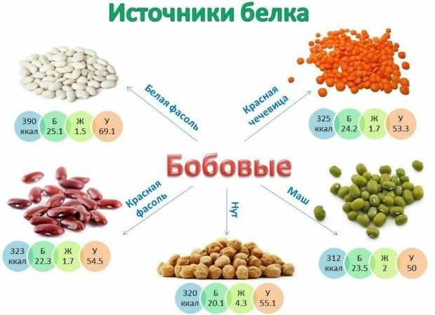 Похудение на белковых продуктах: список и таблица калорийности продуктов