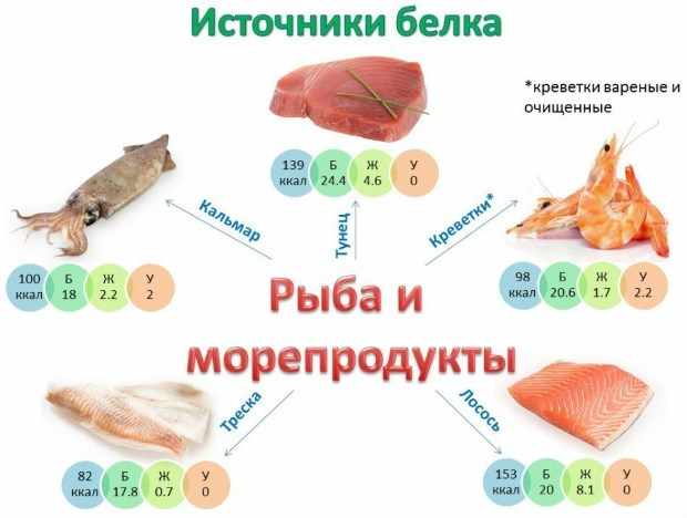 Похудение на белковых продуктах: список и таблица калорийности продуктов