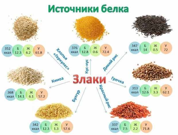 Похудение на белковых продуктах: список и таблица калорийности продуктов