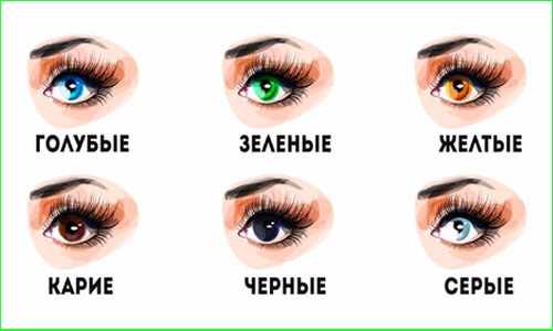 Формы глаз. Как определить, фото и описание, подобрать стрелки, сделать идеальный макияж