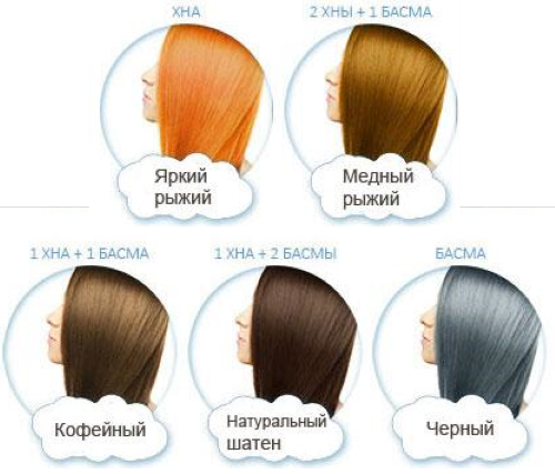 Хна и басма: пропорции и цвет, фото до и после для седых, русых волос