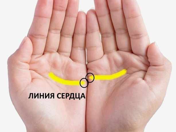 Значение линий на ладони правой и левой руки для женщин и мужчин. Хиромантия в картинках доступным языком с фото