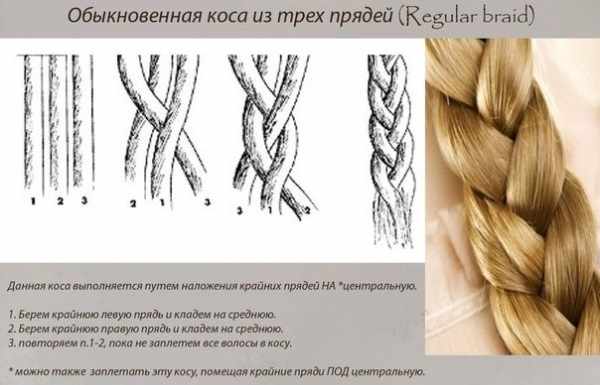 Прически с плетением на длинные волосы для девочек и женщин. Как плести пошагово своими руками. Фото