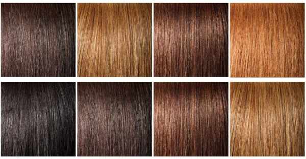 Средне-русый цвет волос. Фото до и после окрашивания, краски для мелирования, палитра