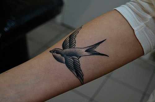 Тату птицы - значение для девушек татуировки орла, сокола, голубя, ласточки, совы, стаи птиц. Фото и эскизы